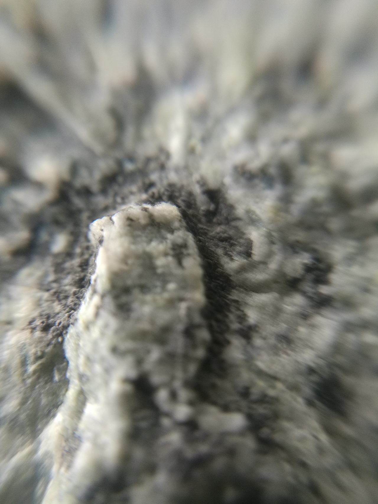 微距摄影作品集（图ZMTI5NzAyNjY0） - 风光摄影 - 站酷设计师YuanxuanLI原创素材 - 站酷ZCOOL