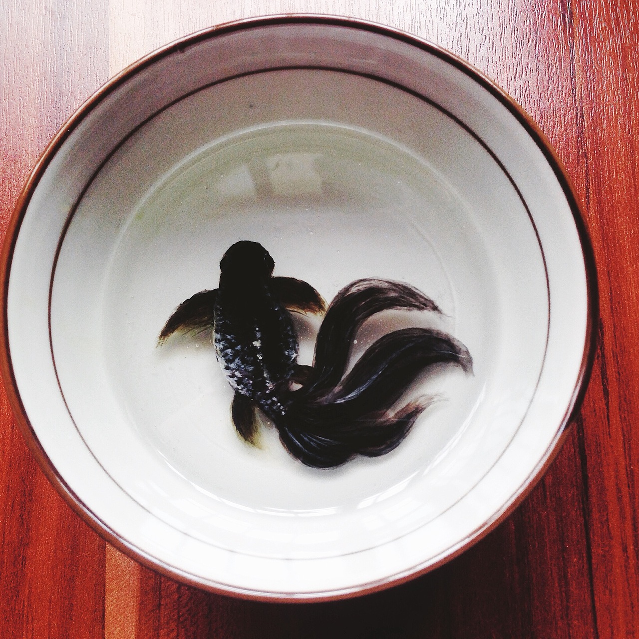 传点老东西拔草（图ZNTQyMDM0NDg=） - 其他手工艺 - 站酷设计师团长手记原创素材 - 站酷ZCOOL