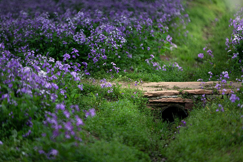 梨兰会（图ZMzY2MzQyNjMy） - 风光摄影 - 站酷设计师一切kkk原创素材 - 站酷ZCOOL