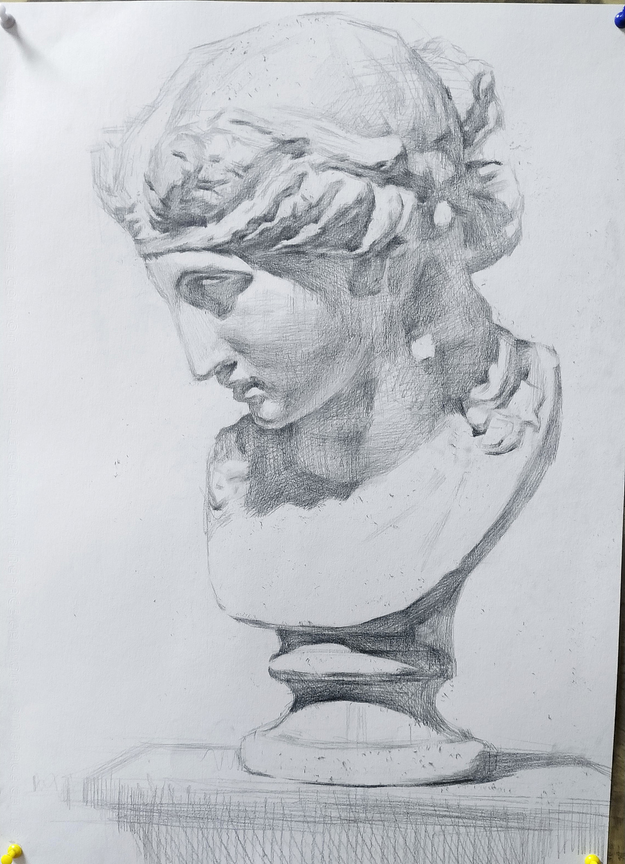 素描石膏头像 阿里亚斯ariadne