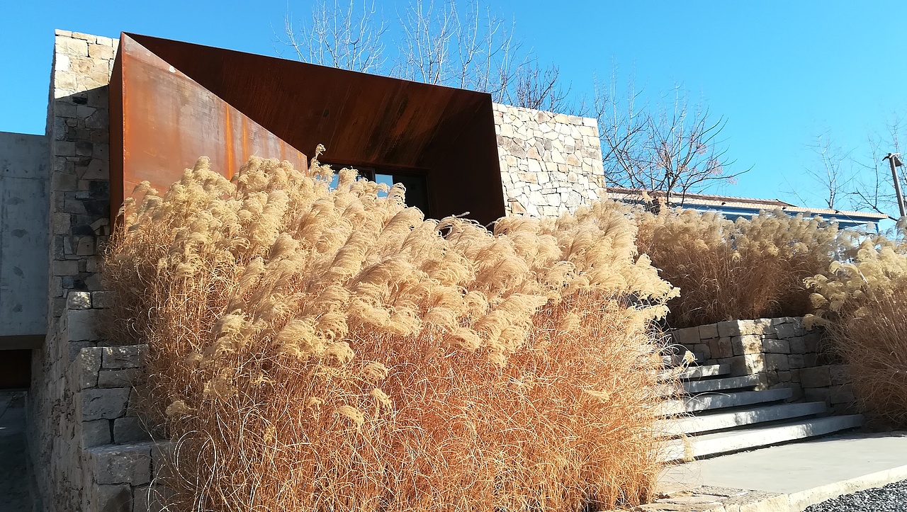 日照农村文化墙，壁画，手绘墙，幼儿园彩绘，墙体彩绘（图ZMTk1NjUzNzcy） - 新锐潮流插画 - 站酷设计师聚精绘神壁画原创素材 - 站酷ZCOOL