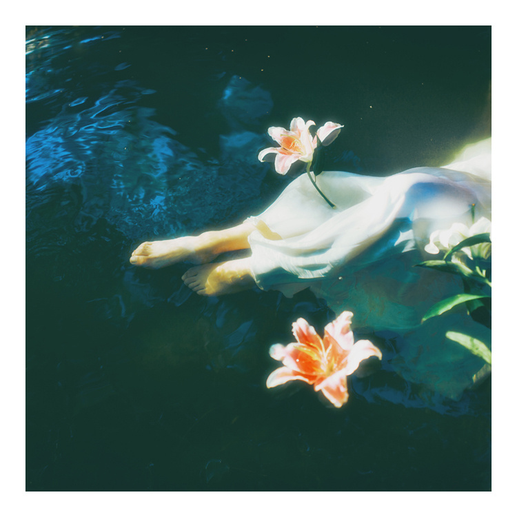 简谱野百合也有春天_野百合也有春天(3)