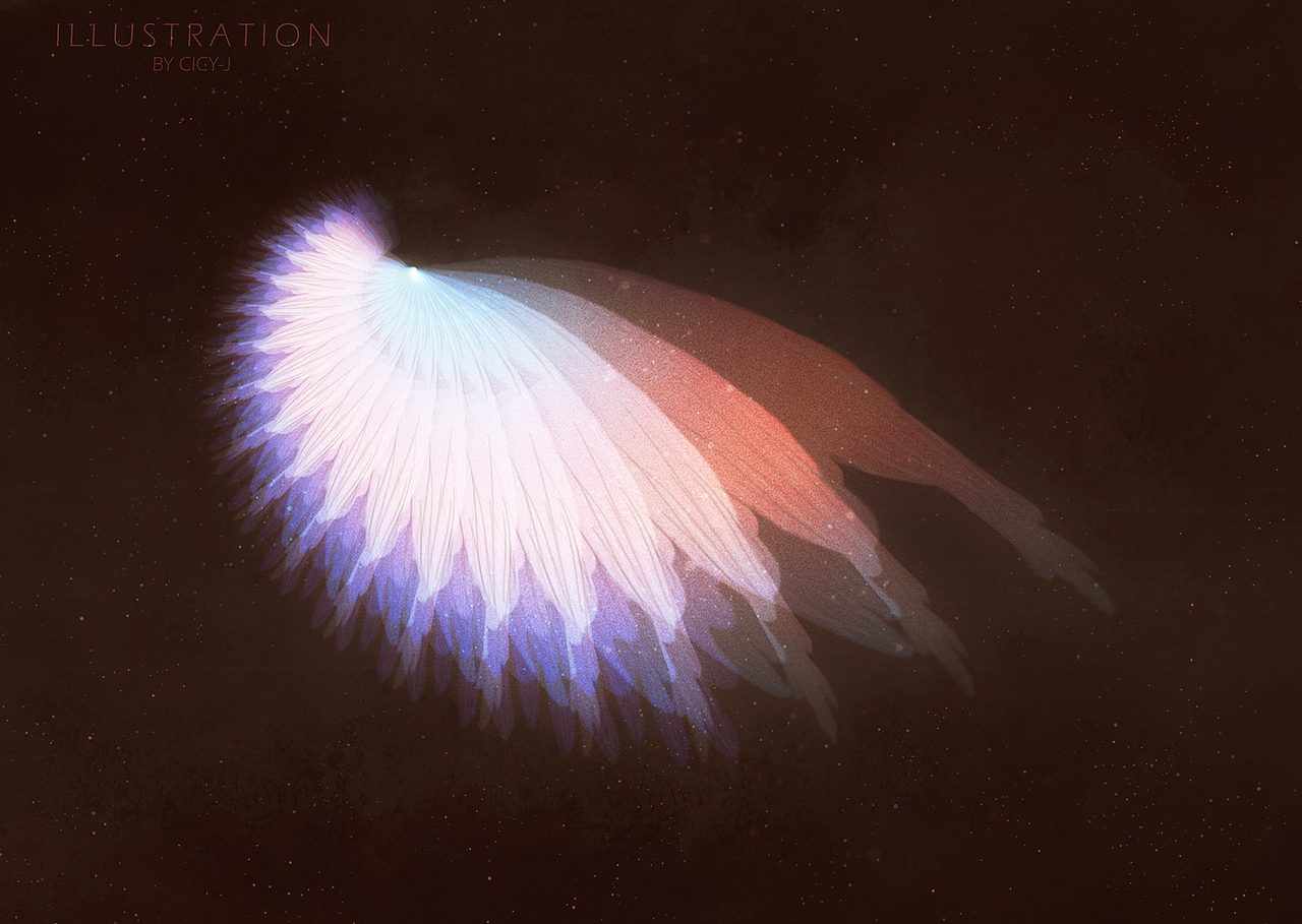 近期的一些教程