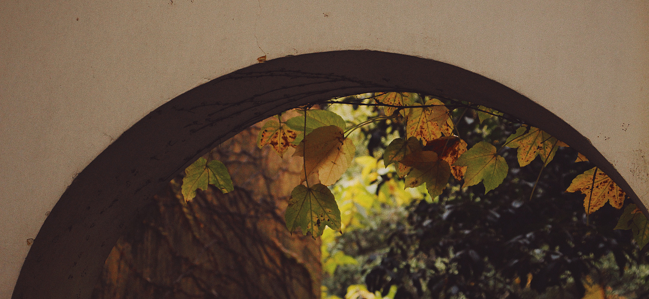 天平山 | 秋已深 冬将至