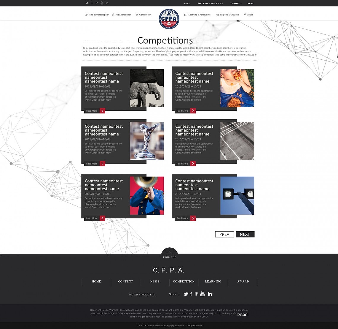 C.P.P.A 商业人像摄影协会网站（图ZMjE5NzkwNDc2） - 企业官网 - 站酷设计师A_BOY原创素材 - 站酷ZCOOL