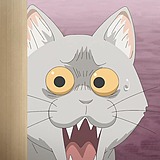 玖幺四的头像