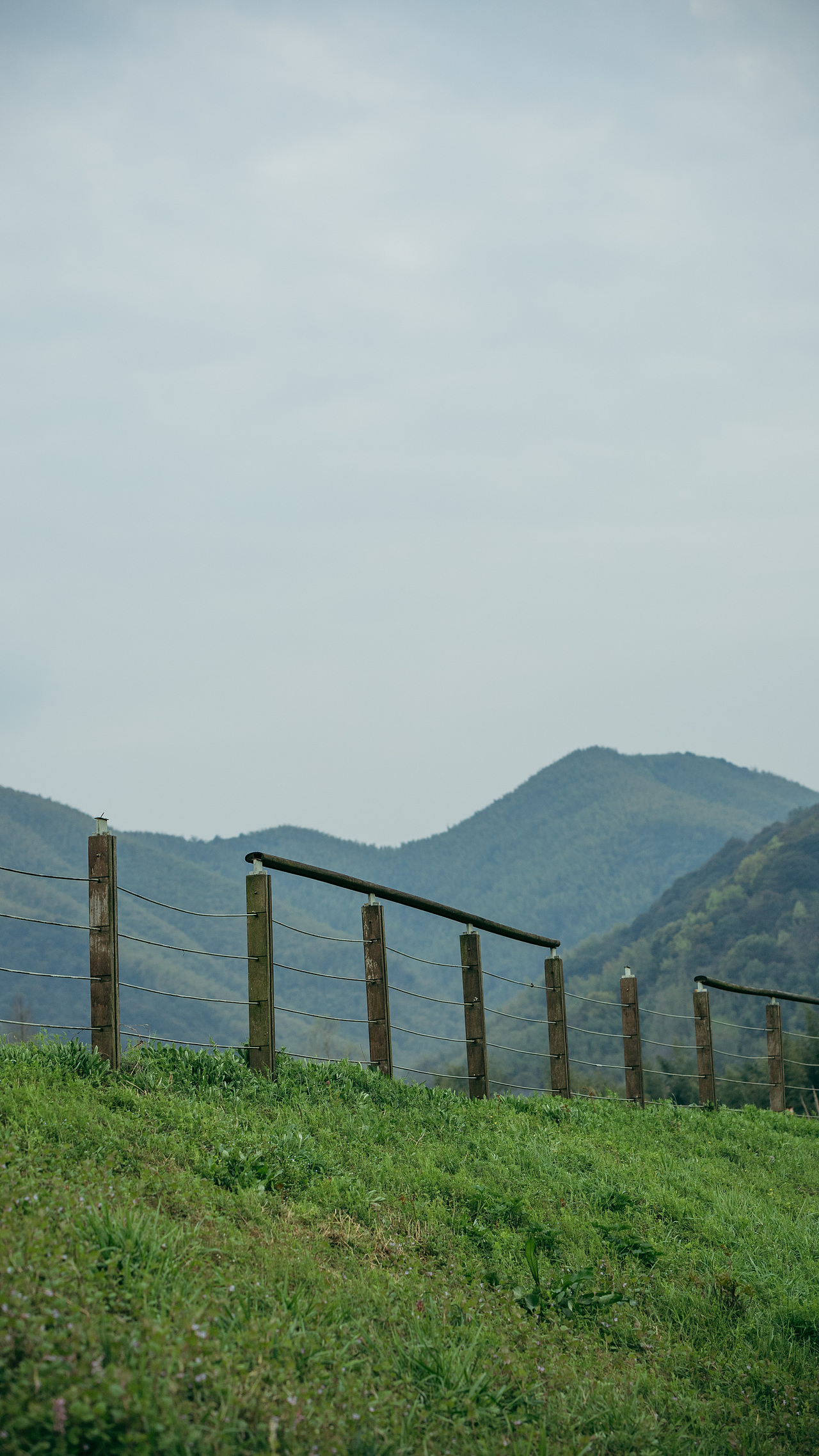 0326苕溪边露营记录（图ZMjk0ODExMzI4） - 风光摄影 - 站酷设计师蒙蒙酱原创素材 - 站酷ZCOOL