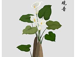 插画植物