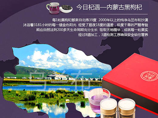 文章插页图设计黑枸杞