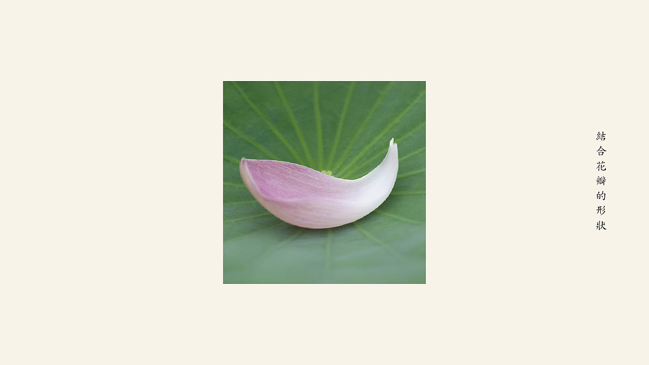 丞溪护肤标志设计——云点创意