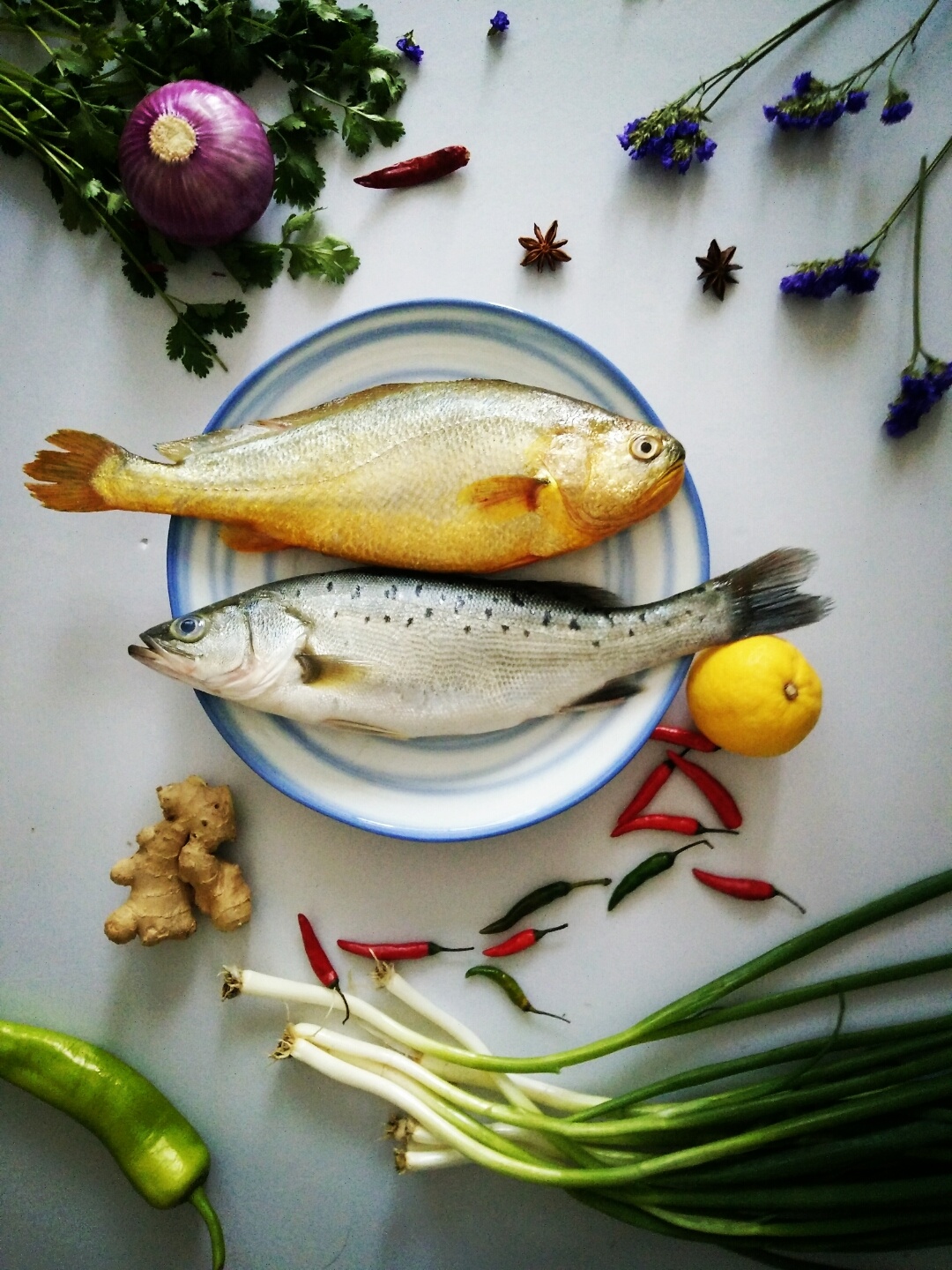 晚饭的鱼|摄影|静物|雨栅栏 - 原创作品 - 站酷 (zcool)