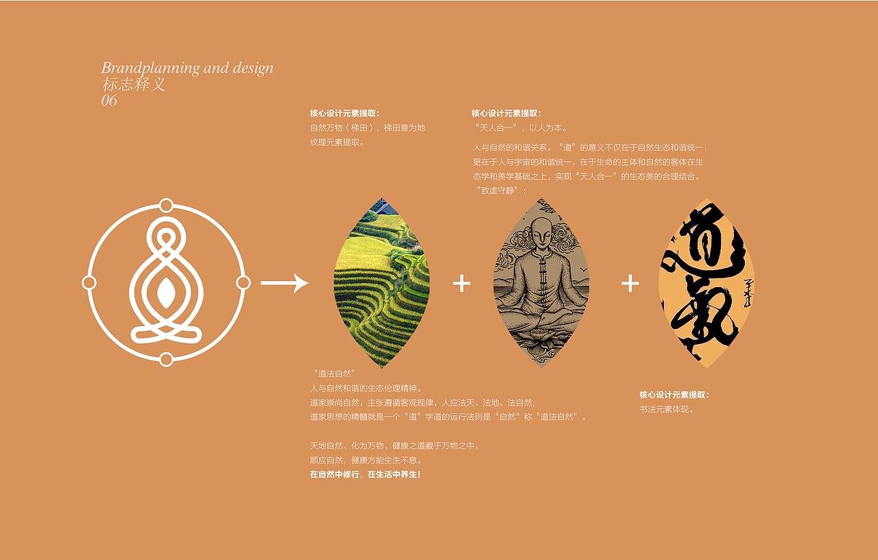 品牌“极灸堂”品牌LOGO设计/包装设计