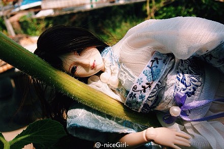 非专业 摄影 |原创