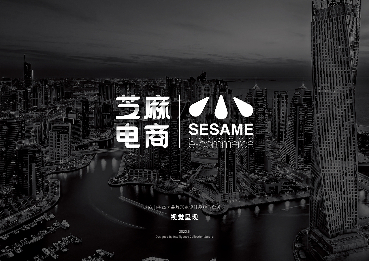 芝麻电子商务（图ZMjEwMDE5OTAw） - Logo - 站酷设计师关爱小动物原创素材 - 站酷ZCOOL