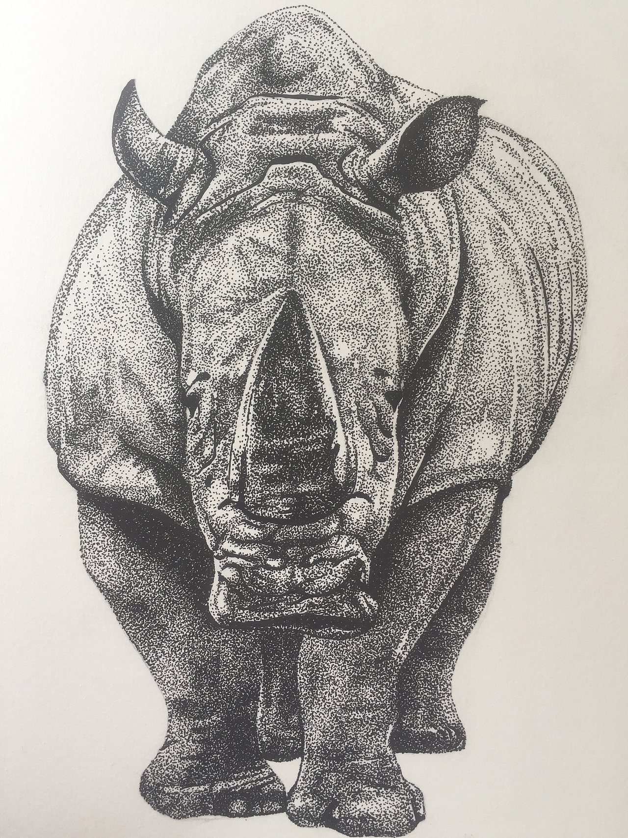 中性笔点画犀牛|纯艺术|绘画|喜欢画画的小学生_原创作品-站酷zcool