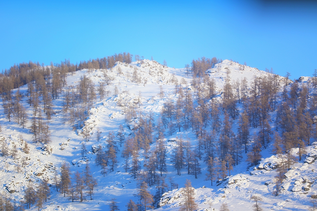 阿勒泰——喀纳斯