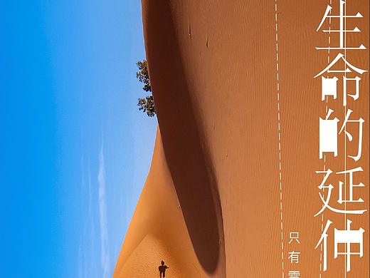 海报（个人主页-ZNDk3MjM4MjQ=） - 海报 - 站酷设计师Jing暮光之城原创素材 - 站酷ZCOOL