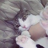 小蚊子要咬人的头像