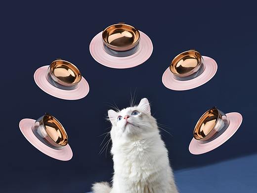 珀珀宠影之宠物用品/宠物产品摄影/猫咪喂食碗