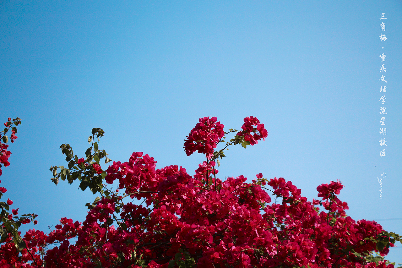 【回忆】大学这几年...in CQ 重庆