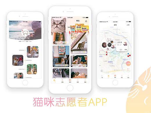 猫咪志愿者APP