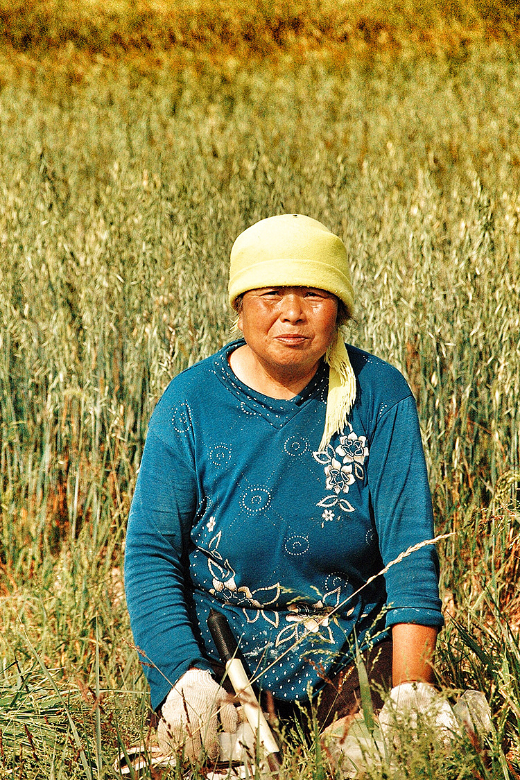 大师说的了,此刻的美好被我抓到了 这是我在内蒙古的时候拍的一些照片