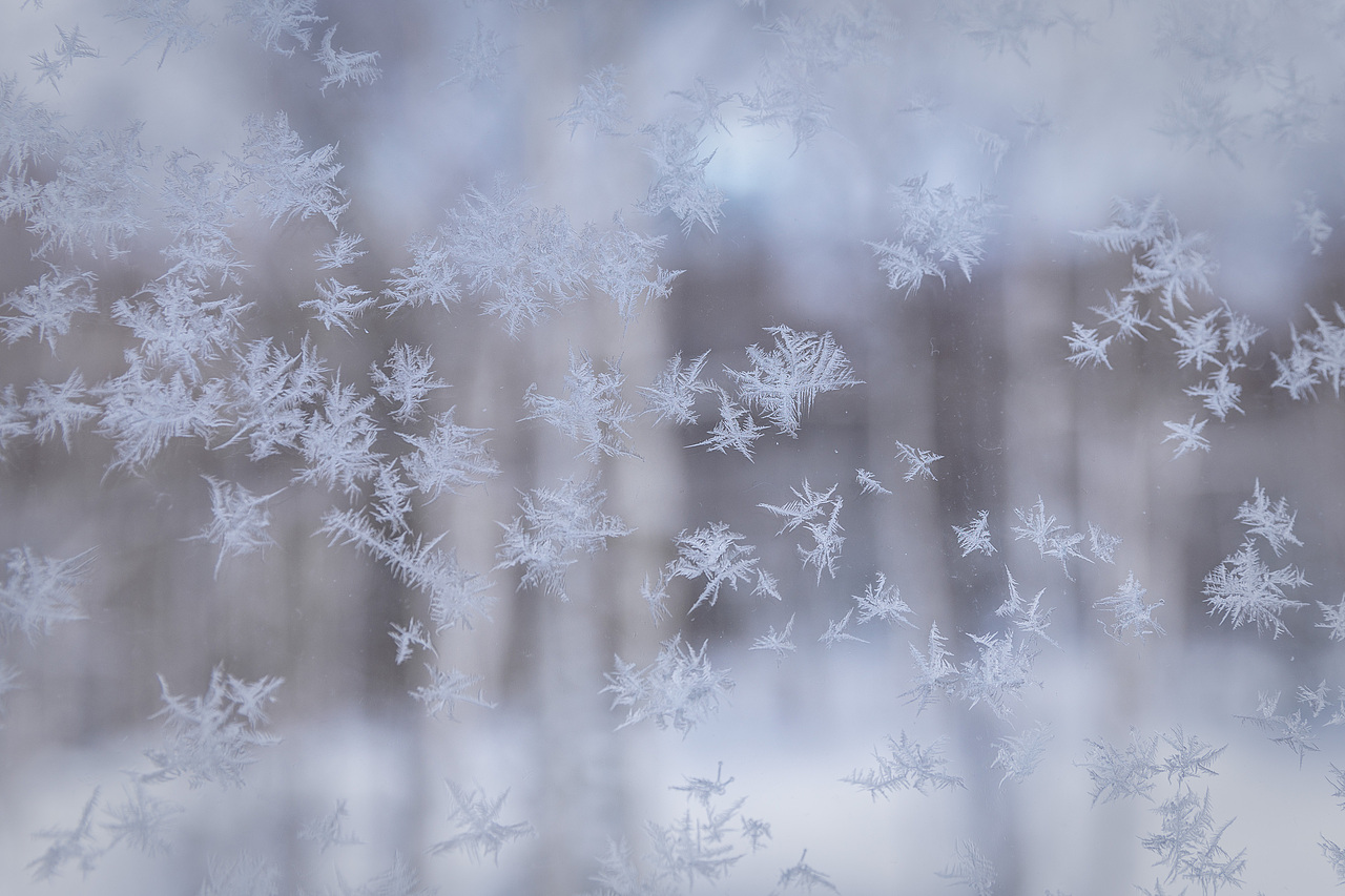 我在北海道滑雪（图ZMTA5Mzk0MzM2） - 短片 - 站酷设计师魏编来了原创素材 - 站酷ZCOOL