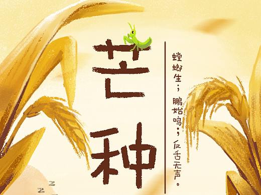 芒种