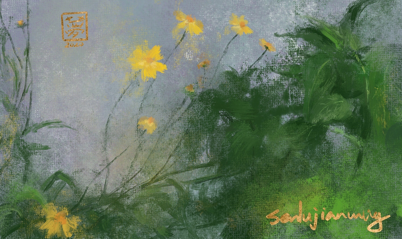 飞入的白粉蝴蝶