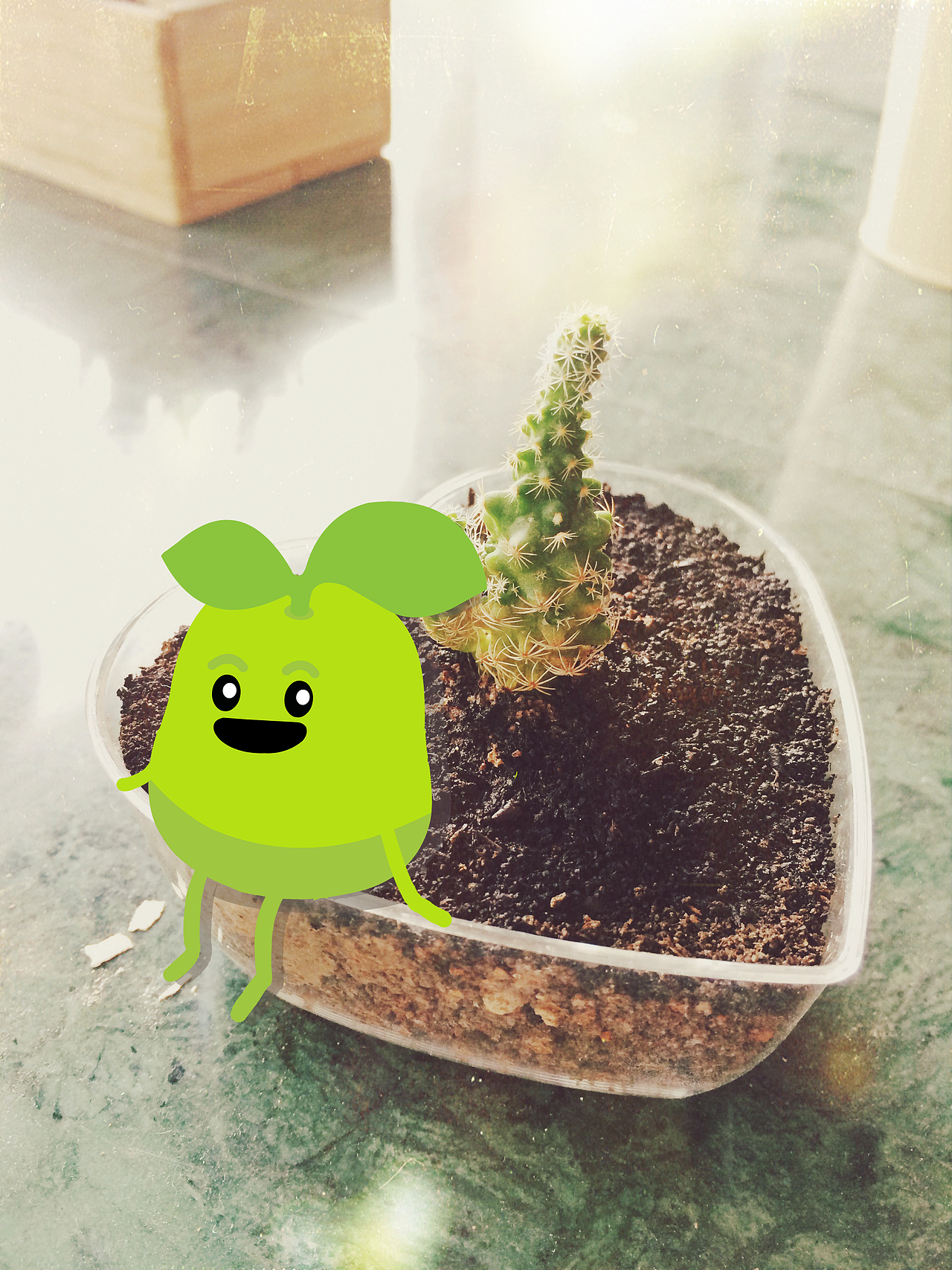 IP角色《豆尼丸》（图ZMTM1MzE3ODY0） - IP形象 - 站酷设计师chunhuastudio原创素材 - 站酷ZCOOL