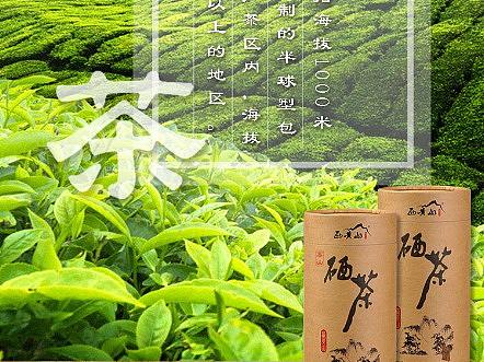 茶叶详情