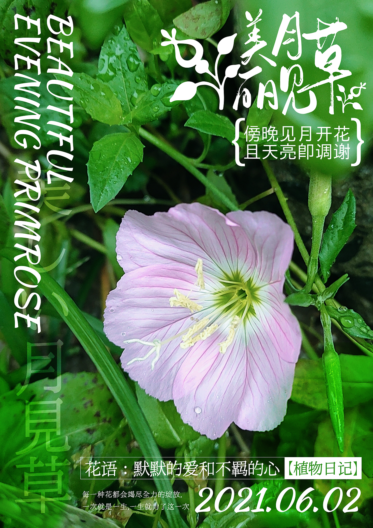 人间草木（二）（图ZMjg0NzAxNzA4） - 人文/纪实摄影 - 站酷设计师兔牙锅锅原创素材 - 站酷ZCOOL