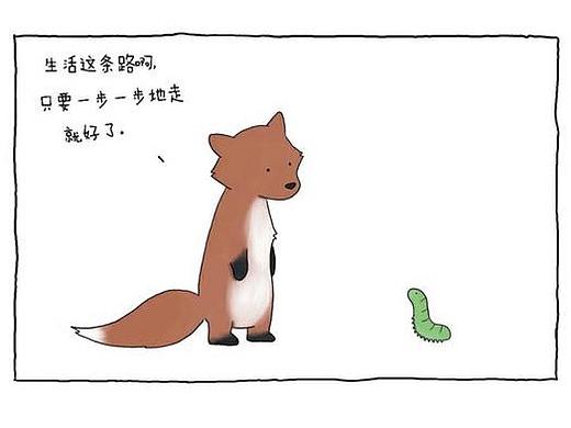 软件app排行榜、积分页面