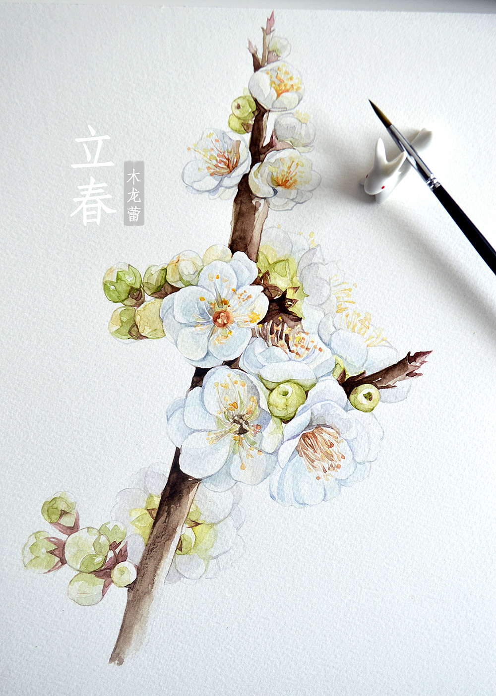 【立春】原创手绘水彩梅花