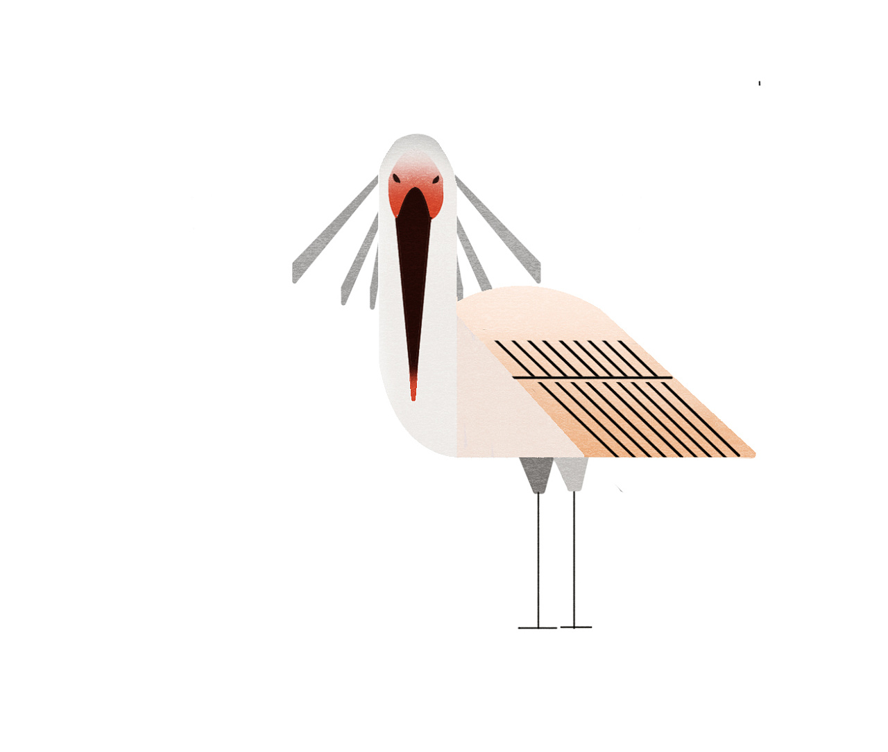 濒危鸟类动物|插画|创作习作|忘木川川 - 原创作品 - 站酷 (zcool)