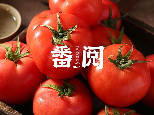 番阅番茄农产品品牌创建全案策划