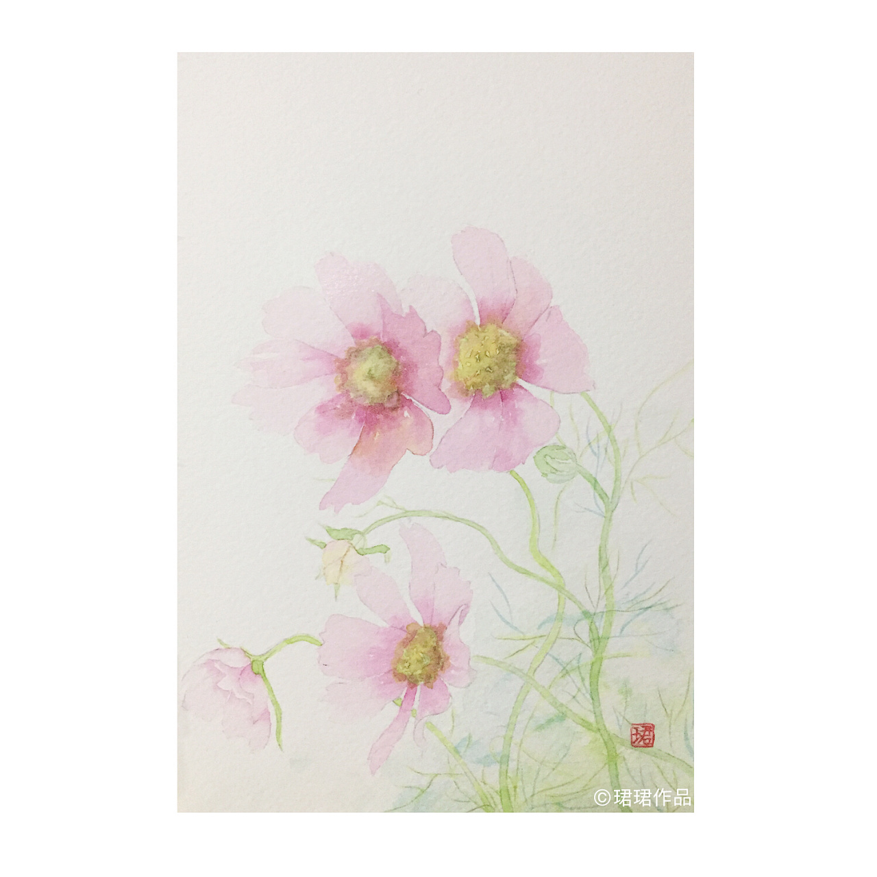 《简花》——格桑花