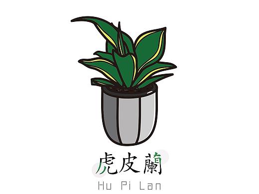 虎皮兰（个人主页-ZMjU4NjEwMTY=） - 图案 - 站酷设计师洋洋同学原创素材 - 站酷ZCOOL