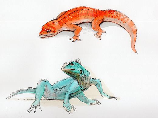 速写的“十八般兵器”（上篇）