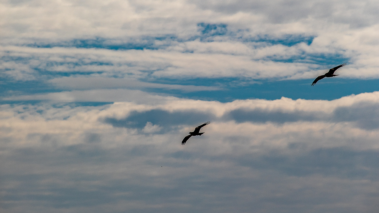 南京 南京（图ZMjMxMjY5NzEy） - 人文/纪实摄影 - 站酷设计师拾光朝圣者原创素材 - 站酷ZCOOL