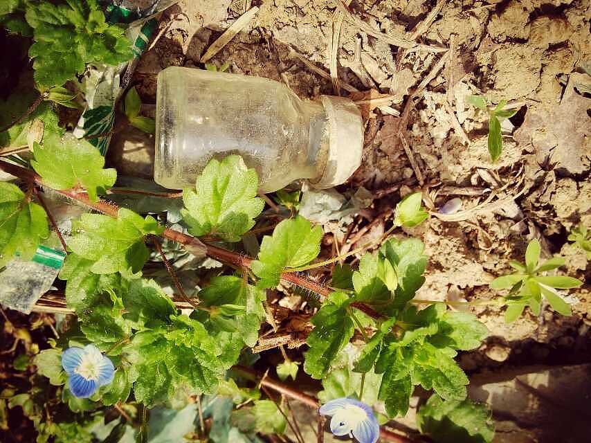 一个空了的小药瓶