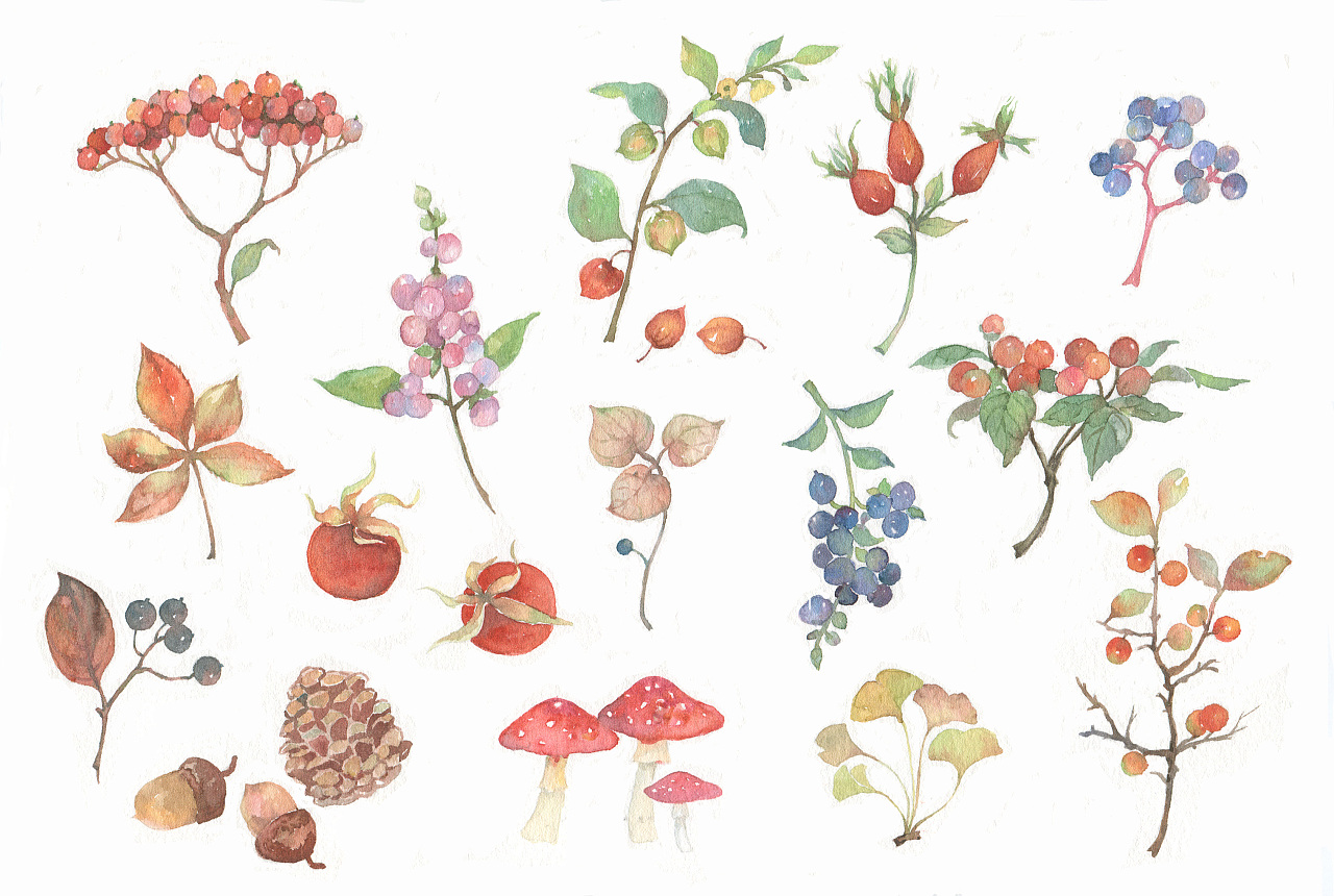 秋意浓,秋色重,观天清云淡,画草木人间