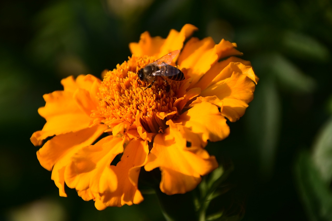 廣州·油畫寫生系列