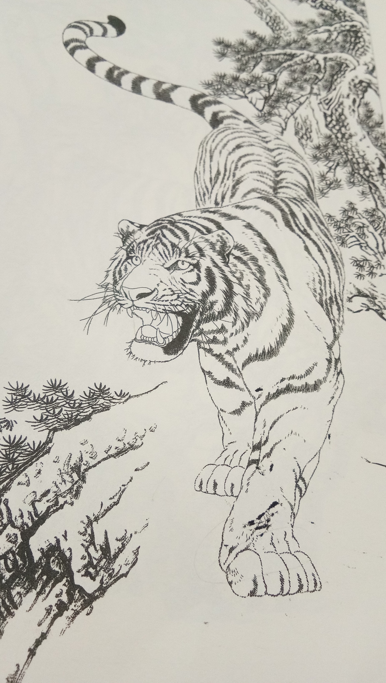 日常白描练习（图ZMTg1MzEyNjky） - 绘画 - 站酷设计师你微笑时好美tcl原创素材 - 站酷ZCOOL