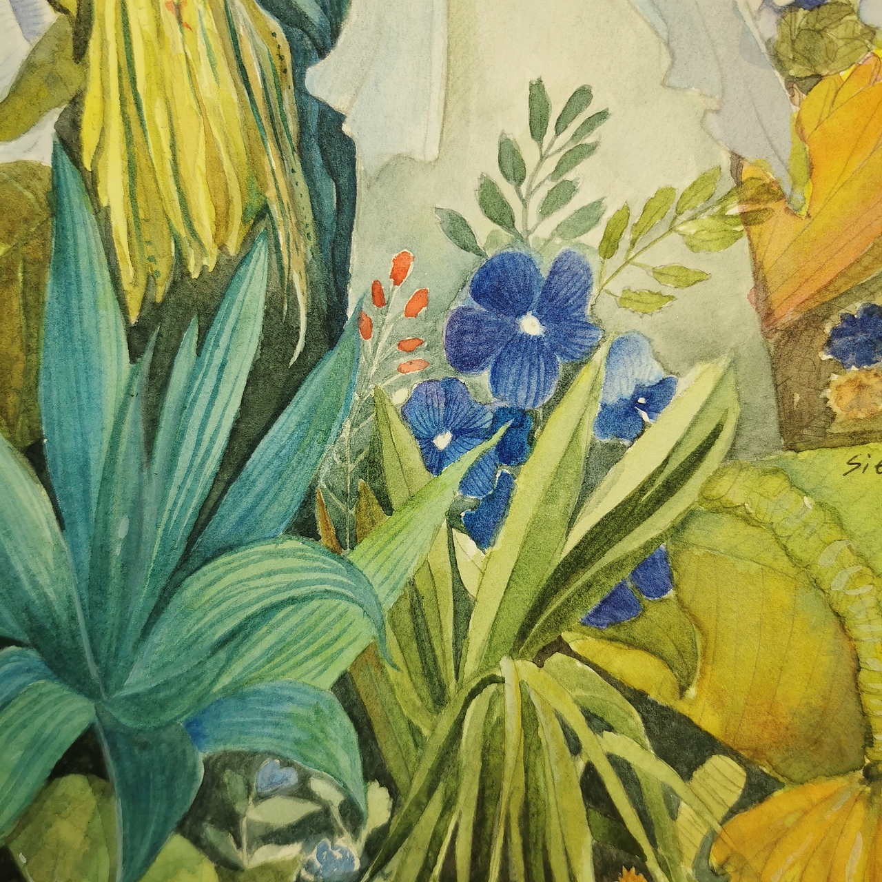 芒刺耳与红果在花园里。