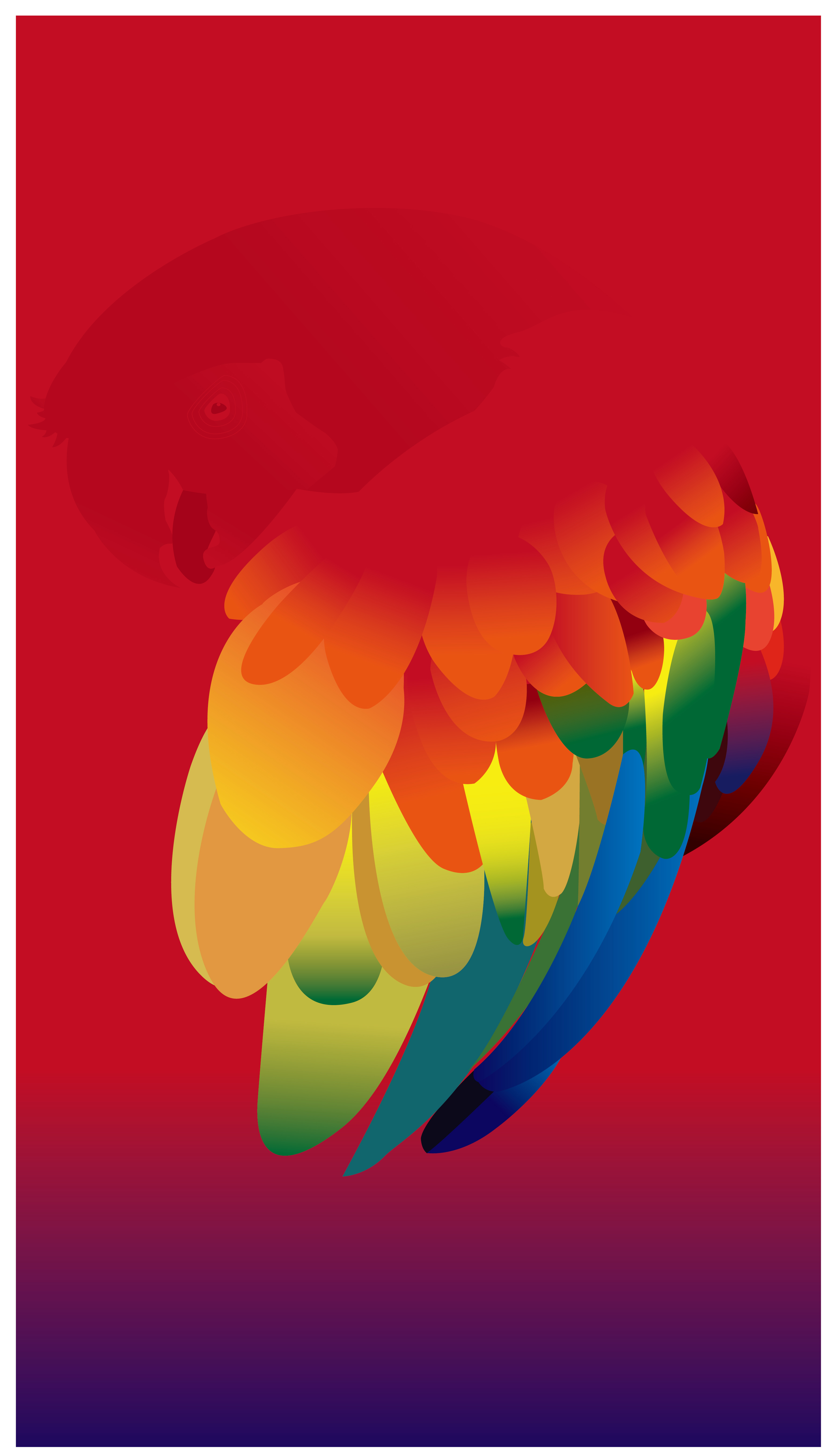 鹦鹉|平面|图案|h佐一h - 原创作品 - 站酷 (zcool)