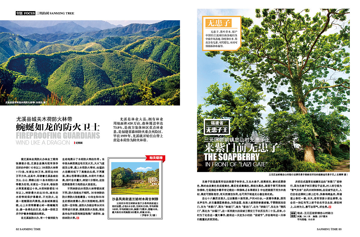 《时代三明》杂志-专题·三明的树-封面:李家乡鲜水塘
