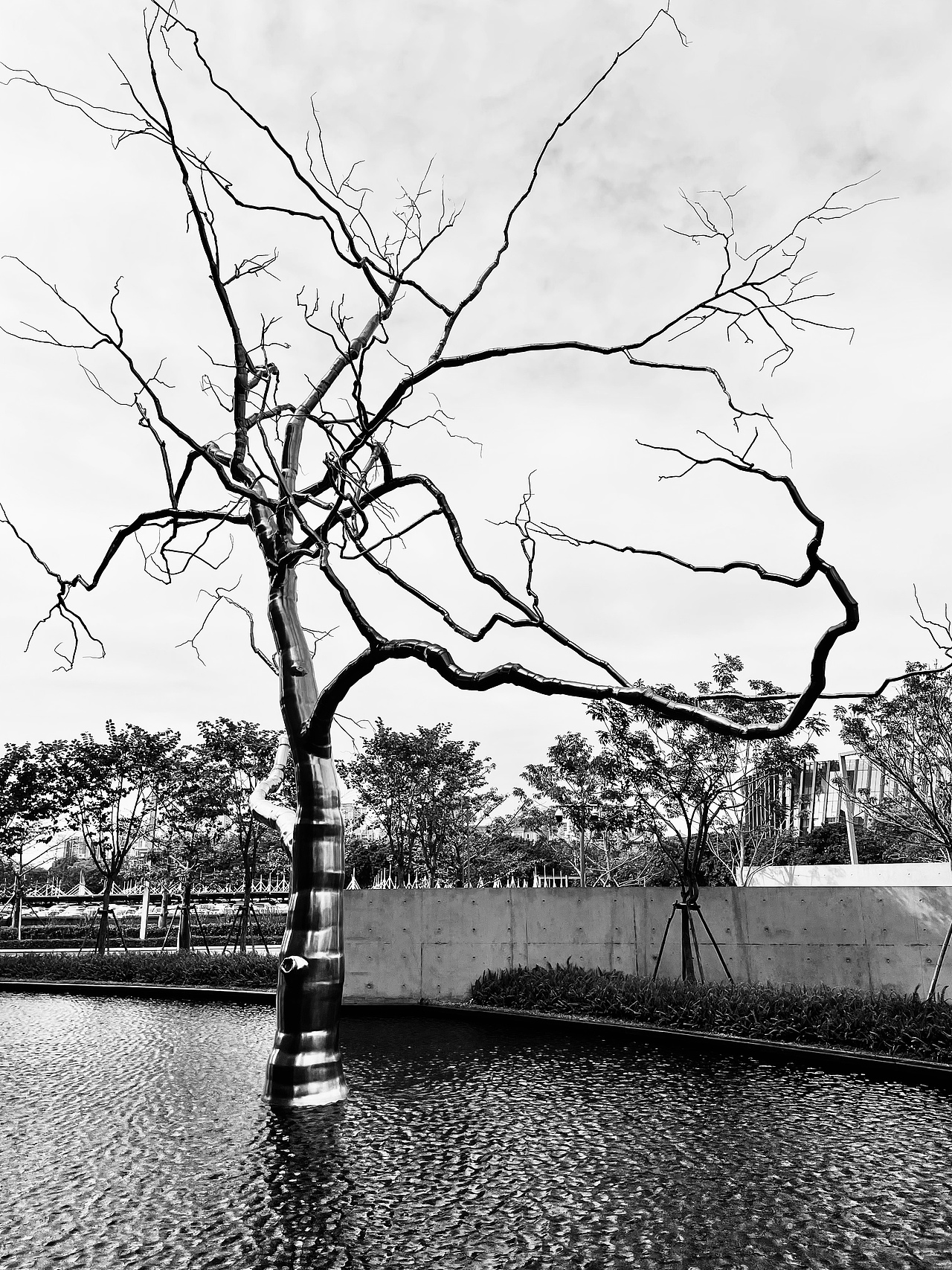 金属材质创作的树,虽然是艺术品,但仿佛也有了生命,也许这就是艺术家独特的构思和想法