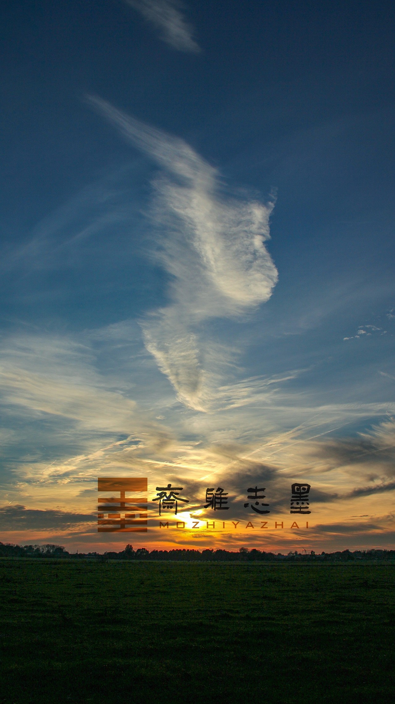 自然造物 吾栖之态