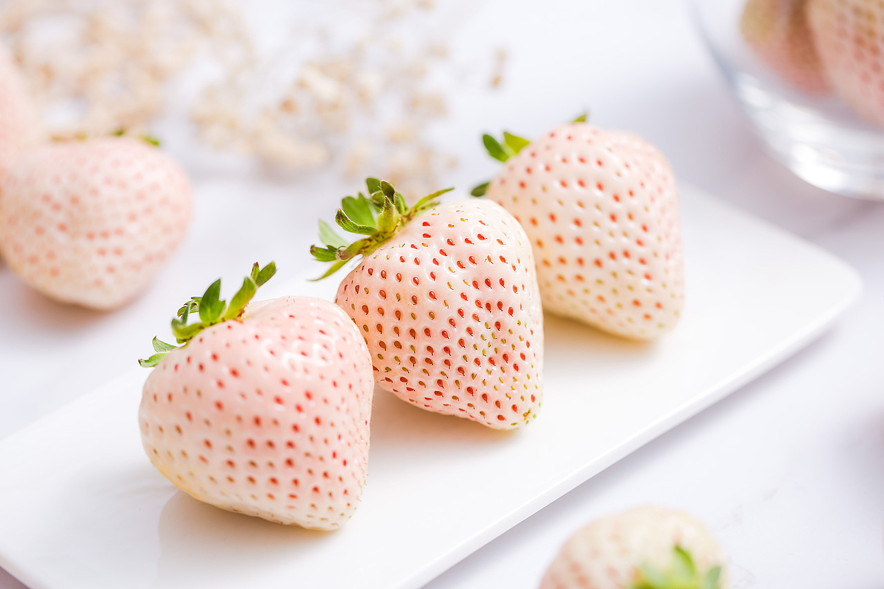 吃不起系列白草莓